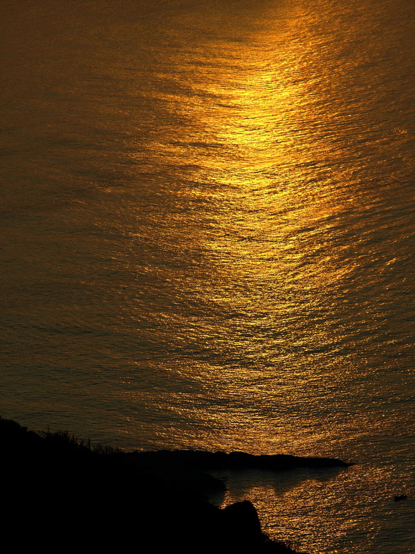 g0023.JPG - OLYMPUS DIGITAL CAMERA