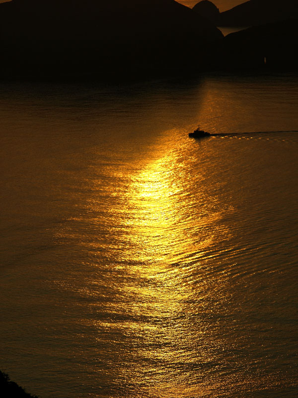 g0024.JPG - OLYMPUS DIGITAL CAMERA