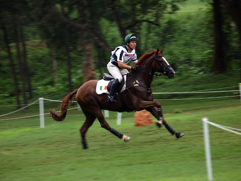 g0030.jpg - OLYMPUS DIGITAL CAMERA