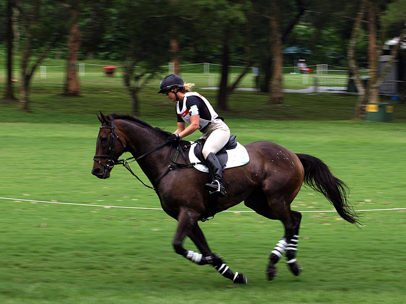 g0033.jpg - OLYMPUS DIGITAL CAMERA