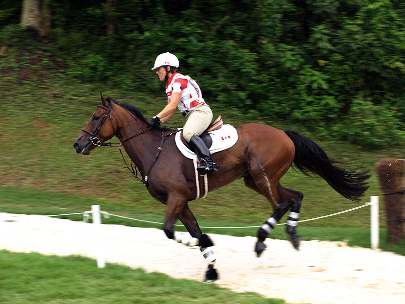 g0034.jpg - OLYMPUS DIGITAL CAMERA