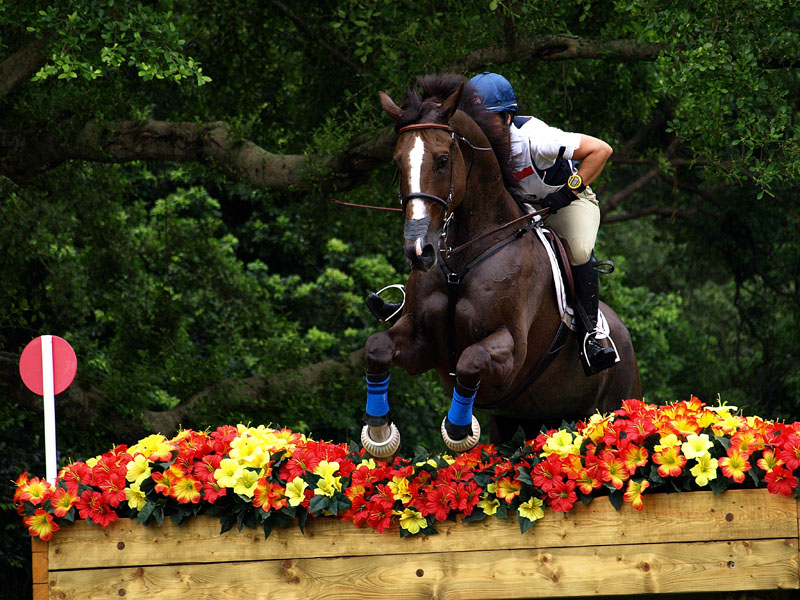 g0042.jpg - OLYMPUS DIGITAL CAMERA