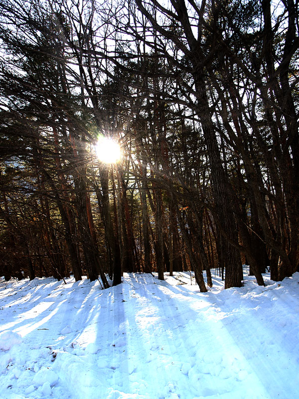 g0055.jpg - OLYMPUS DIGITAL CAMERA